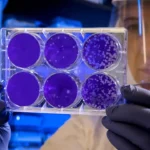 What Can You Use an Associate Degree in Science For?